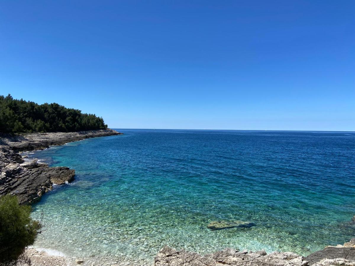 Villa JOKA Banjole Esterno foto
