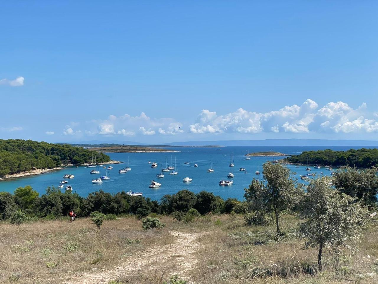 Villa JOKA Banjole Esterno foto