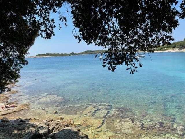 Villa JOKA Banjole Esterno foto
